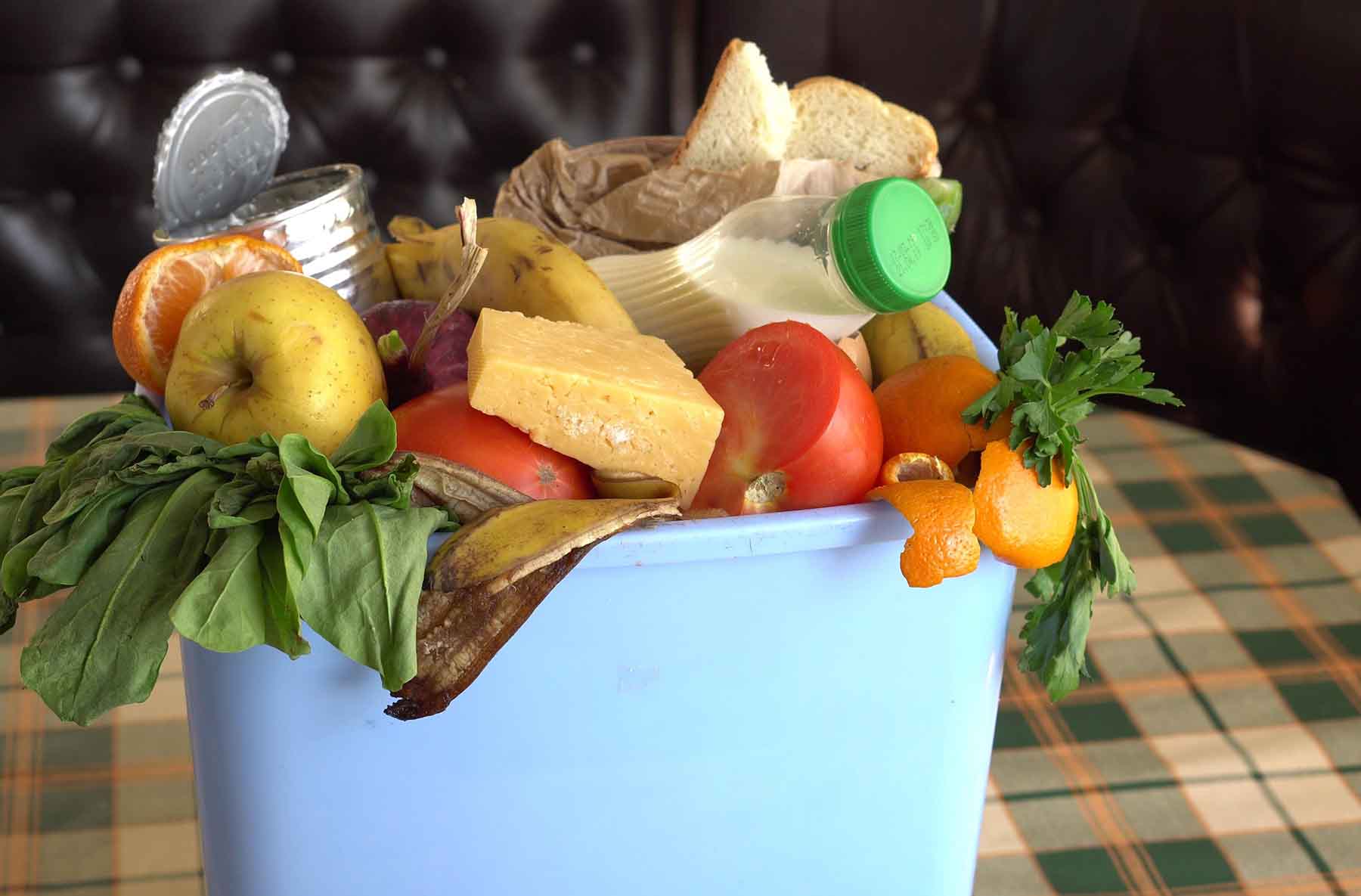 Keep Produce Fresh, Reduce Food Waste, Save Money - Bluapple