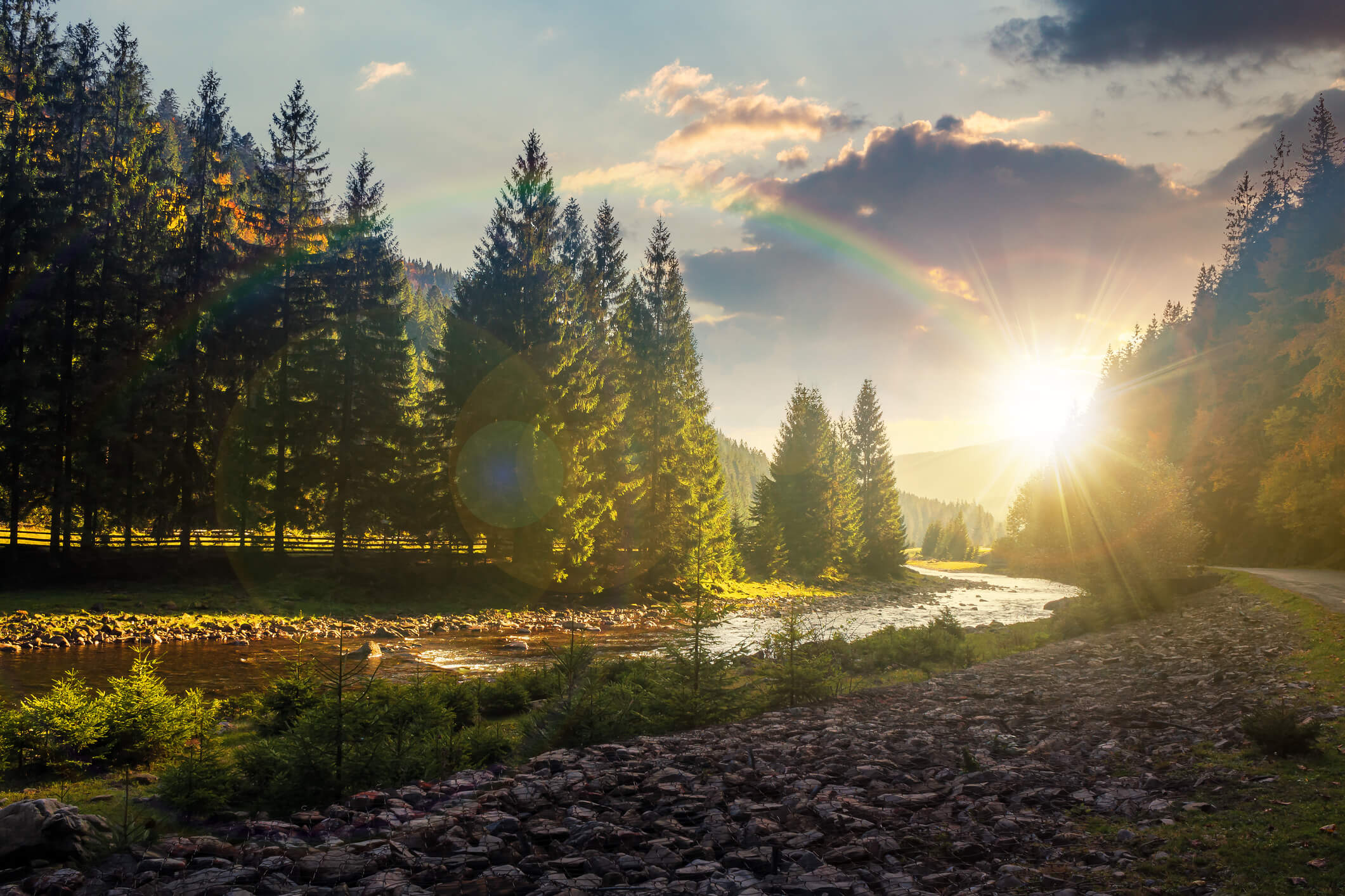 Peaceful riverbank at sunset