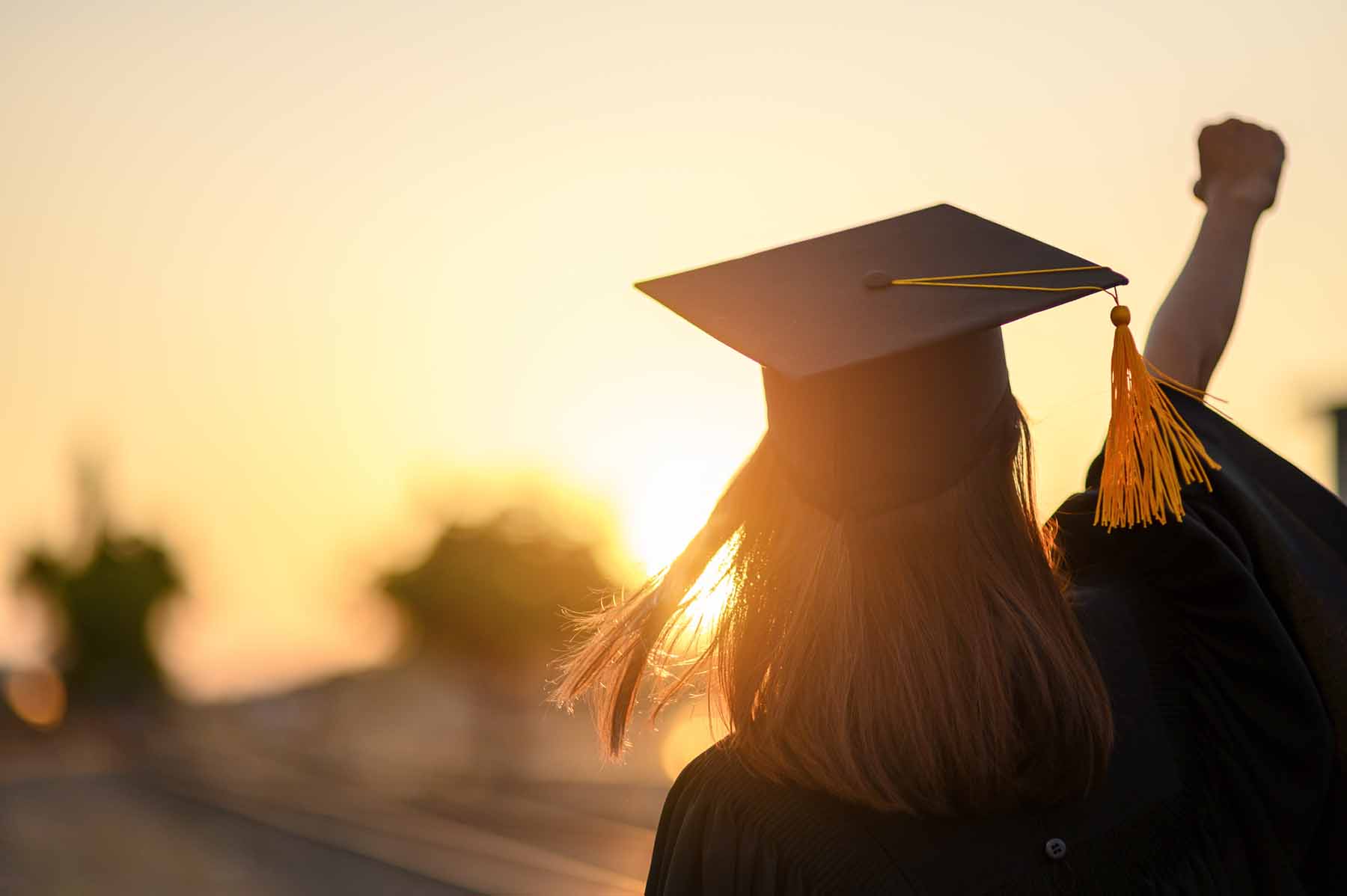 Rear view of university graduate at sunset.