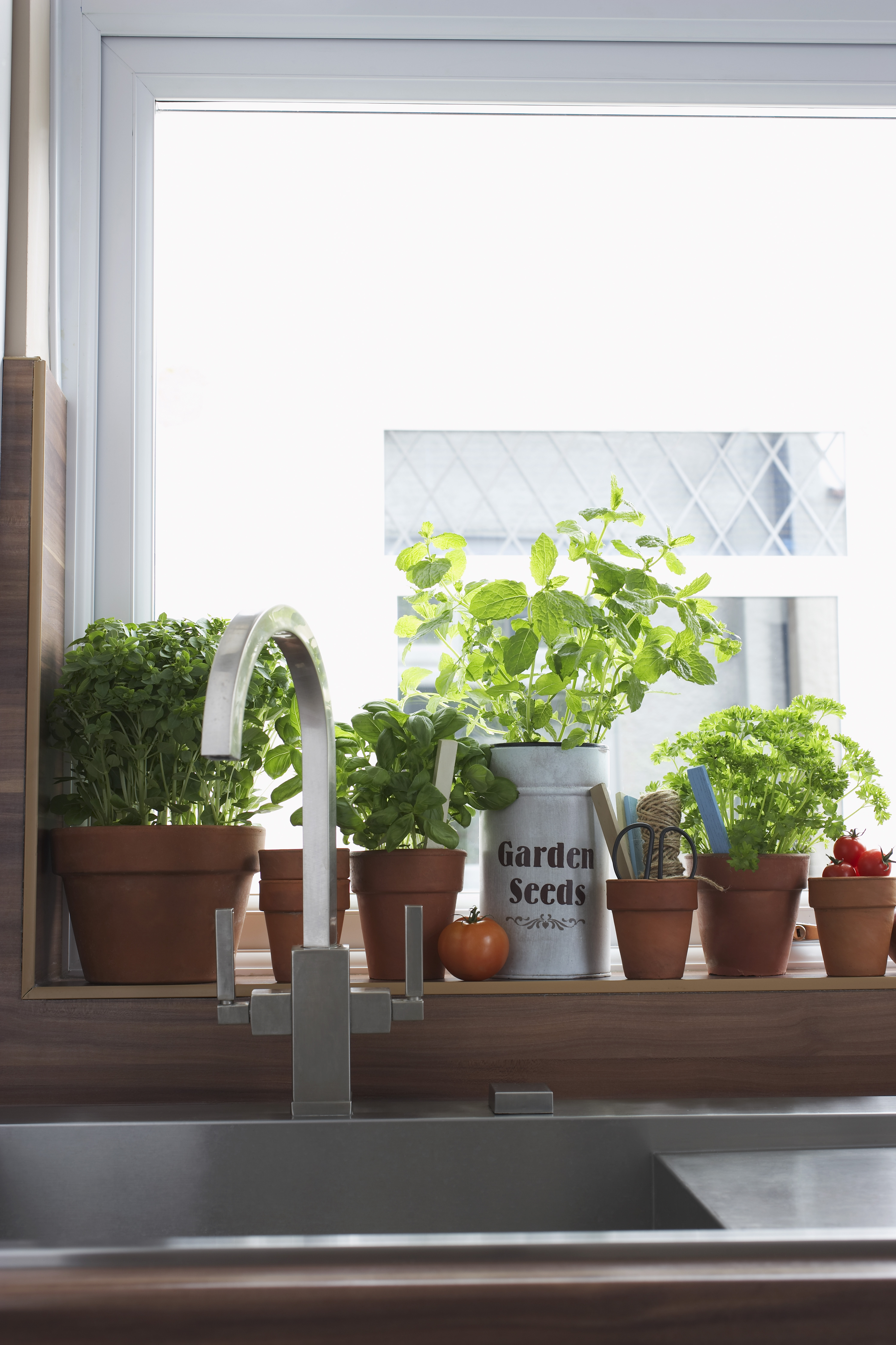 Small plants in kitchen windowsill