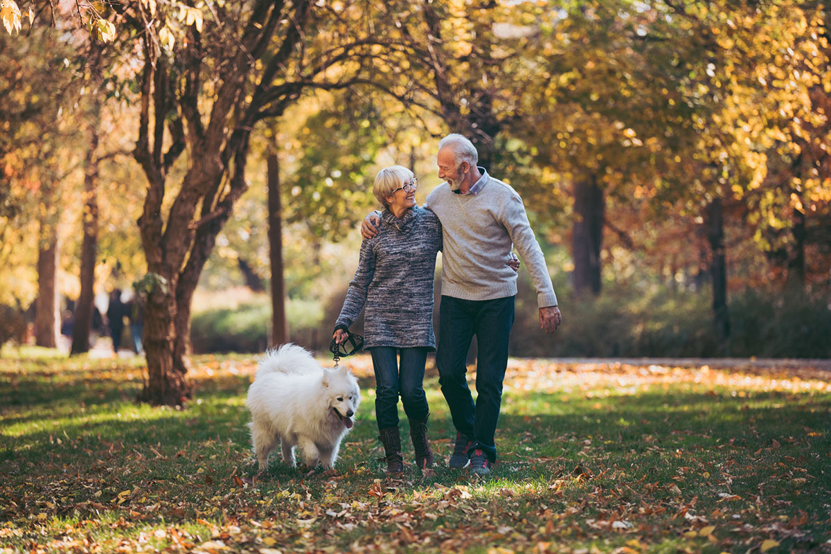 Senior couple walking their dog in a beautiful autumn park