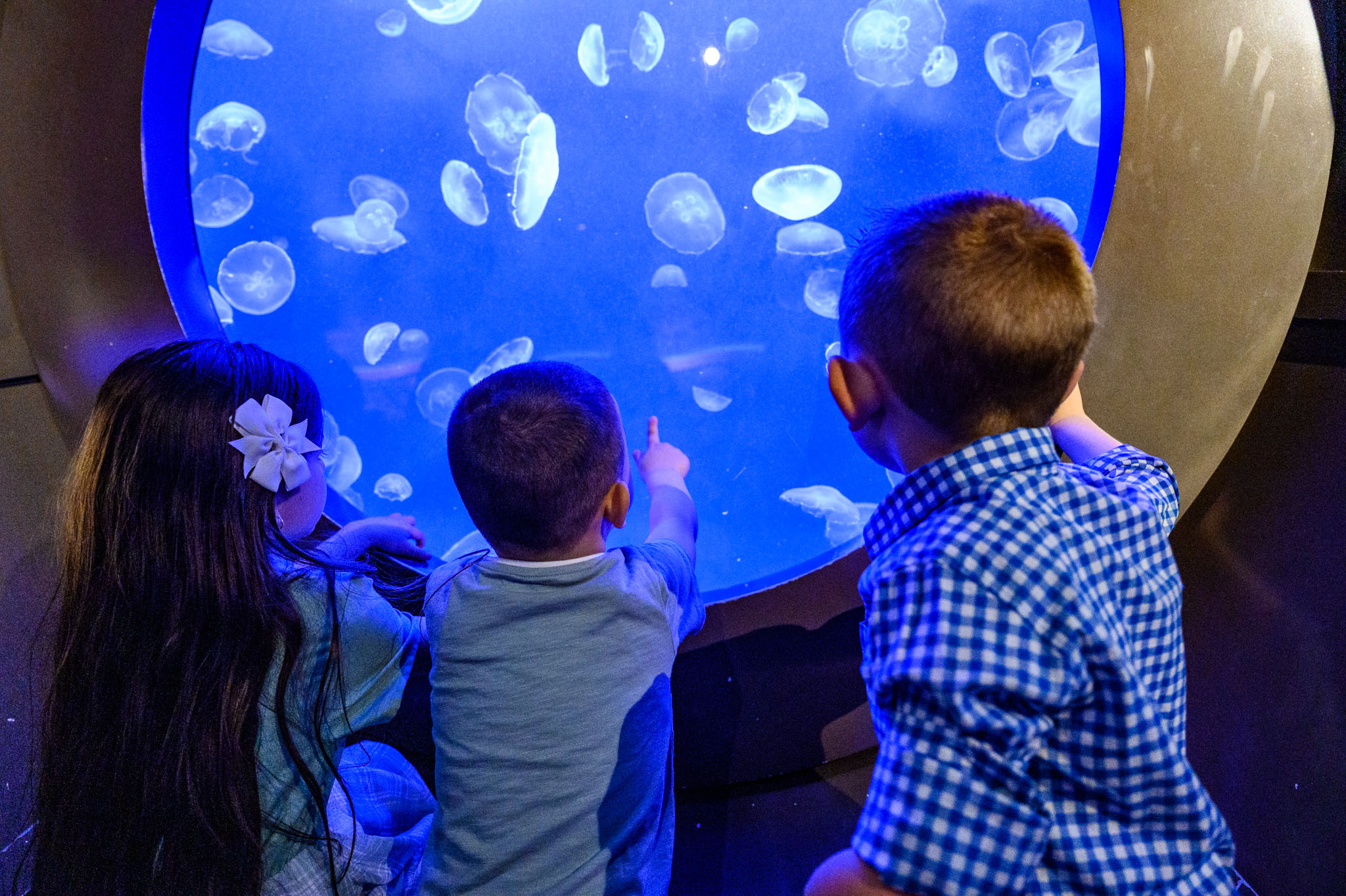 three kids looking at a jellyfish enclosure